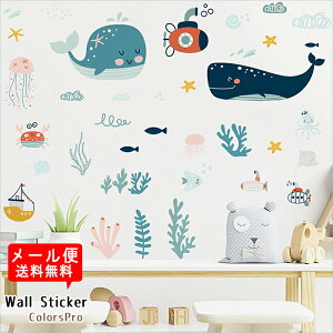 EH[XebJ[ NW C  Jj ^R C C̐   炰 킢 ͂ Ǐ JtF CeAV[ j̎q ̎q q Wallsticker EH[V[ EH