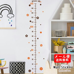 EH[XebJ[ gv ڐ Vv q ۈ牀 ct 킢 ͂ Ǐ JtF CeAV[ Wallsticker EH[V[ EH[V[g lR|X