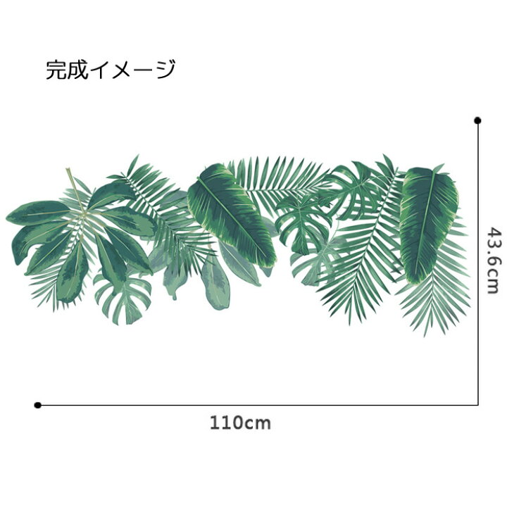 楽天市場 ウォールステッカー 植物 観葉植物 グリーン 葉っぱ リーフ モンステラ アレカヤシ ストレチア ヤシの葉 夏 南国 はがせる 壁飾り カフェ インテリアシール Wallsticker ウォールシール ウォールシート Diyインテリアのお店 Colorspro