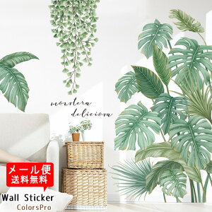 EH[XebJ[ A  ϗtA R Xg`A Xe tFCNO[ t 썑  O[ ͂ Ǐ JtF  CeAV[ Wallsticker EH[