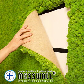 グリーンウォール 40×60cm 4枚set ウォールグリーン モスウォール MOSSWALL 壁面緑化 壁面緑化パネル モス プリザーブド プリザーブドフラワー 壁掛け インテリアグリーン レインディアモス 苔 DIY モスパネル モスウォール 送料無料