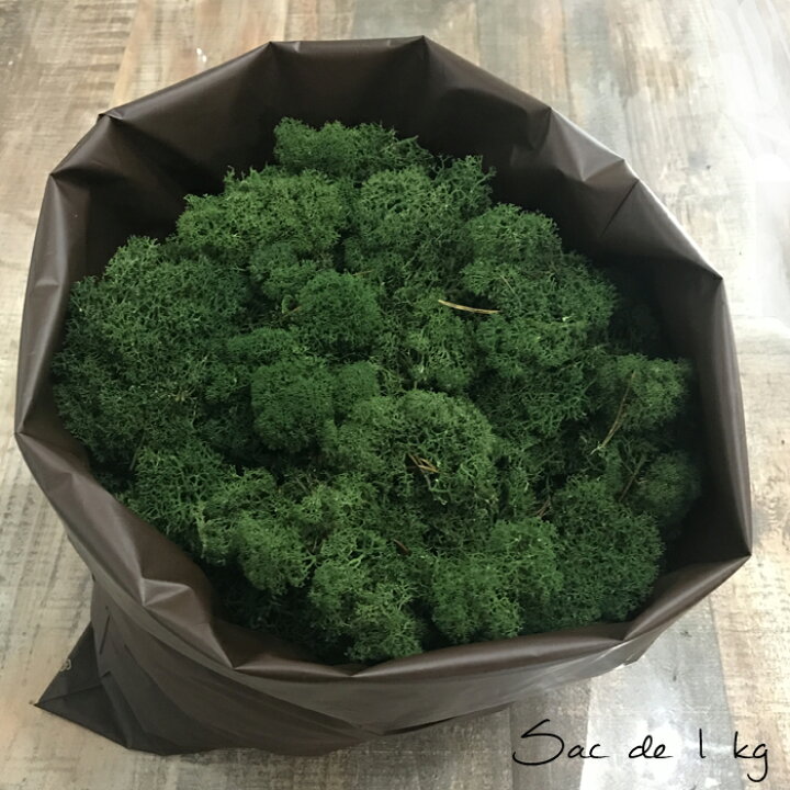 楽天市場】モス フィンランドモス 1kg プリザーブド プリザーブド 