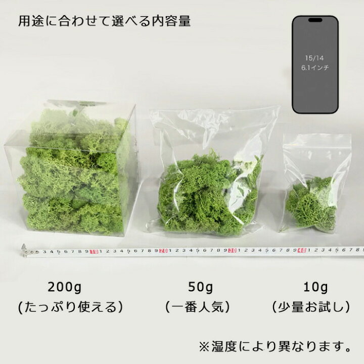楽天市場】モス 北欧 フィンランドモス カラーモス 200g プリザーブド 