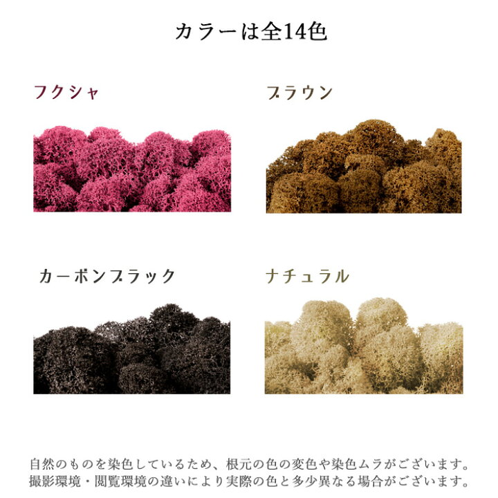 楽天市場】モス フィンランドモス 200g プリザーブド プリザーブド 