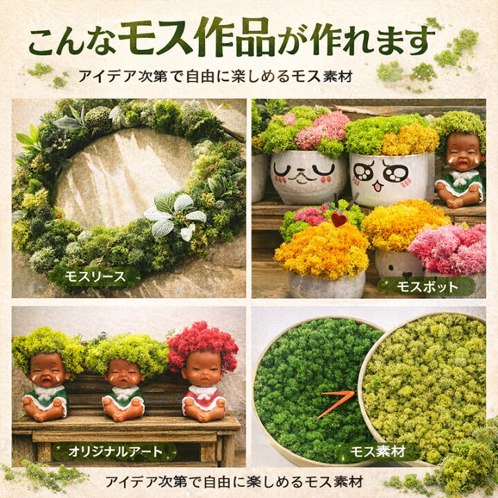 楽天市場】モス 北欧 フィンランドモス カラーモス 200g プリザーブド 