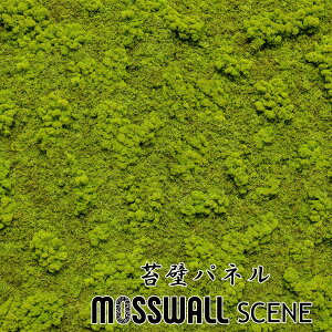 ǖʗΉ ǖʗΉpl 78×58cm 2Zbg VR X O[EH[ EH[O[ vU[uh O[pl Ǌ| h CeAO[ CfBAX VR  MOSSWALL 