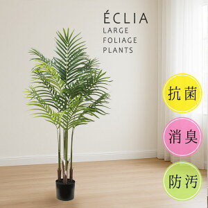 tFCNO[ ϗtA A[eBVO[ AJo[ CTG} R L h {H g ^ 傫 { A  ϗtA v[g j z J