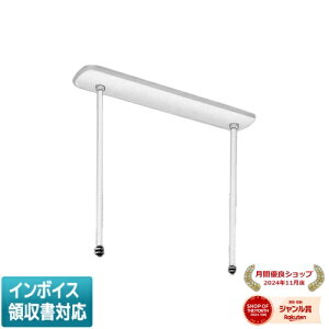 ���[������[�@�l����] C47PWA �O�H ���󒍕i �݋�LDL43�p [ C47PWA ]