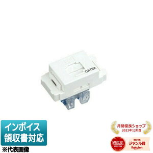 [�@�l����] NDG8098(WW) ���� LAN�p���W���[���[�R���Z���g �����΂˕t�iCAT6A�j