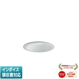 ���[������[�@�l����] EL-WD04/1(252WM) AHN �O�H ���󒍕i �_�E�����C�g �h�J�` �����p ��100 ���F [ ELWD041252WMAHN ]