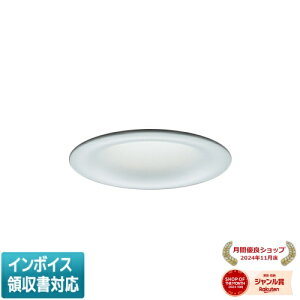 ���[������[�@�l����] EL-D20/2(152NS) AHN �O�H ���󒍕i �_�E�����C�g ��125 �����F [ ELD202152NSAHN ]