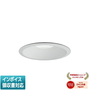 ���[������[�@�l����] EL-D02/2(300MM) AHZ �O�H ���󒍕i �_�E�����C�g ��125 ���� �F���x�� [ ELD022300MMAHZ ]