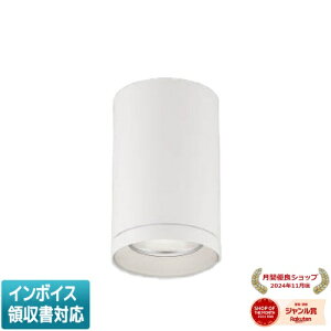 [@l] XH53748 RCY~ KOIZUMI 󒍕i V[O_ECg LED F HID35W [ XH53748 ]