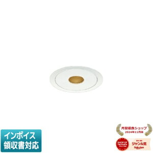 [�@�l����] AD92104L �R�C�Y�~ KOIZUMI �_�E�����C�g �����v�ʔ� ��75 JDR65W/40W���� [ AD92104L ]