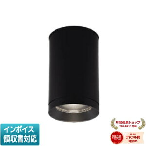 ���[������[�@�l����] XU48056L �R�C�Y�~ KOIZUMI ���󒍕i �h�J�^�V�[�����O�_�E�����C�g LED ���F JR12V50W���� [ XU48056L ]