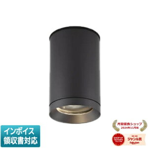 [@l] XU48059L RCY~ KOIZUMI 󒍕i hJ^V[O_ECg LED dF JR12V50W [ XU48059L ]