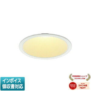 [�@�l����] AD1012W27 �R�C�Y�~ KOIZUMI ���C��SB�_�E�����C�g LED ��125 �d���F FHT32W���� [ AD1012W27 ]