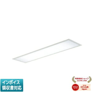 ���[������[�@�l����] AD45411L �R�C�Y�~ KOIZUMI SB������� FHF32W×2������ �����F LED�����s�� [ AD45411L ]