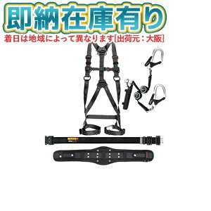 [[݌ɗL]SEGNES701L ^W} TAJIMA ZOlX701 LTCY