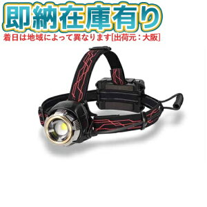 [[݌ɗL] GH-300RG GENTOS WFgX GV[Y wbhCg [ GH300RG ]