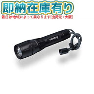 ○[即納在庫有り]【在庫限り品】 GF-116RG GENTOS ジェントス Gシリーズ フラッシュライト 懐中電灯 [ GF…