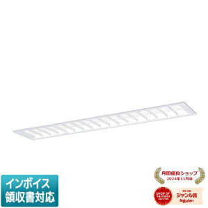 ���[������[�@�l����] XFX455EEN LE9 �p�i�\�j�b�N iD�V���[�Y �����^ LED�x�[�X���C�g �}���`�R���t�H�[�g ��� 5200lm �����F �񒲌� [ XFX455EENLE9 ]