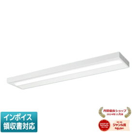 ▲納期未定[法人限定] XFX450SEN LE9 パナソニック iDシリーズ 直付型 LEDベースライト 一般 5200lm 昼白色 非調光 [ XFX450SENLE9 ]