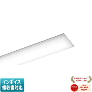 [�@�l����] NEL4500EN RC9 �p�i�\�j�b�N iD�V���[�Y ���C�g�o�[�P�i 5200 lm �����F ���� [ NEL4500ENRC9 ]