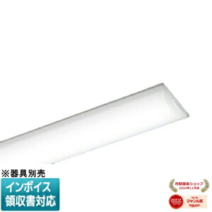 ���[������[�@�l����] NEL4200EN LA9 �p�i�\�j�b�N ���C�g�o�[�̂݁y���ʔ��z iD�V���[�Y ���� [ NEL4200ENLA9 ]