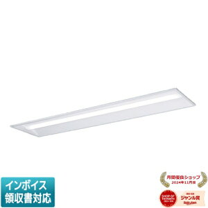 ���[������[�@�l����] XFX449VEV RC9 �p�i�\�j�b�N ���󒍕i iD�V���[�Y �V�䖄���^ 4000 lm �����F ���� [ XFX449VEVRC9 ]