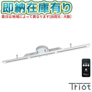 [[݌ɗL] TDR20025 ^LY~ TAKIZUMI Triot CeBO_Ng[ [ TDR20025 ]