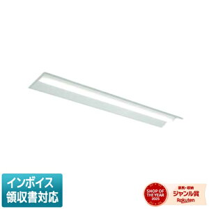 ���[������[�@�l����] MY-B44050/19/D AHZ �O�H ���󒍕i MY�V���[�Y ���� �A�� 220�� �ȓd�� �����F 6500K 4000lm ���� [ MYB4405019DAHZ ]