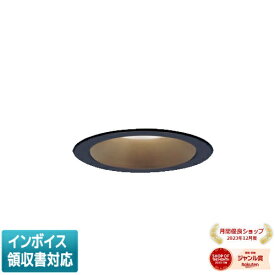 [法人限定] LSEB9541 LE1 パナソニック 天井埋込型 LED 電球色 ダウンライト 浅型8H 高気密SB形 拡散 マイルド配光 φ100 [ LSEB9541LE1 ]
