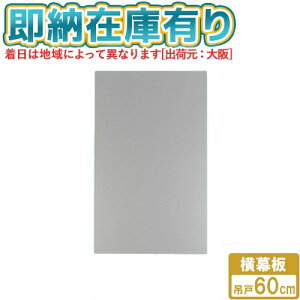 [�@�l����][���[�݌ɗL��] FY-MYC56D-S �p�i�\�j�b�N Panasonic �����W�t�[�h�p���� ������ �X�}�[�g�X�N�G�A�t�[�h�p �݌ˍ���60cm [ FYMYC56DS ]