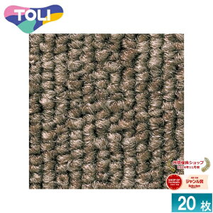 [@l] GA1006  ^CJ[ybg 20 50×50 ItBX X Ɩp