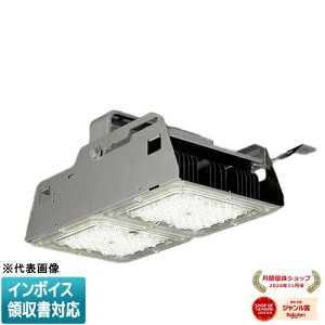 ���[������[�@�l����] EL-GT50120N/W 2AHTN �O�H ���󒍕i ���V��p GT�V���[�Y ��ʌ`SG���f��(�X�y�V�����O���[�h���f��) �����F 5000K [ ELGT50120NW2AHTN ]