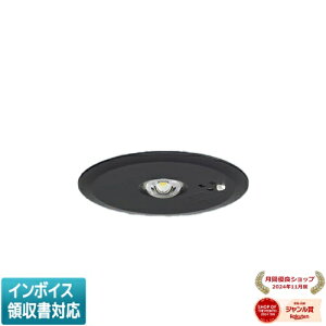 [@l] NNFB90645Z pi\jbN V䖄^ LED F pƖ 30ԃ^Cv LEDV ԗp `3m 100 [ NNFB90645Z ]ydr`z