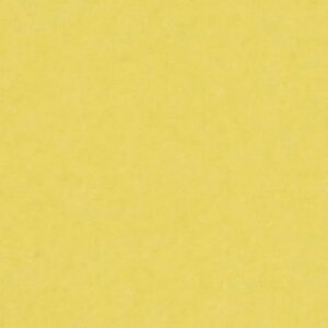 wBeƖEBe@ސXxCgOtBJ BepwiobNy[p[ #50c AXy 1.35×5.5mʐ^Bewi obN X^WI obNV[g wiz wi iBe wiz Bep 