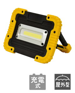 HƁ@[dLED tbgX^hCg 10W }Olbgt@LFS-10CHMG-W