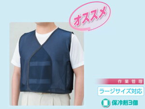 MǑ΍􏤕i@jbg HO-800 N[xXg [WTCY