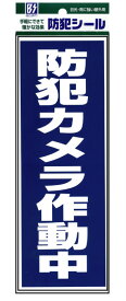 【メール便】防犯シール【防犯カメラ作動中】Lサイズ1枚組 豊光 BS−820 ガラス、窓、ドアなどに貼りつけるだけの簡単防犯対策【防犯グッズ】