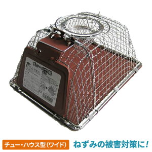 `[EnEX^iChj lY~ ˂  Rp Qb΍ hb΍ 쏜  O O  K[fjO | _  u  ATm