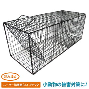 g˂ݖh lY~ Rp Qb΍ hb΍ 쏜   K[fjO | _  u  ATm