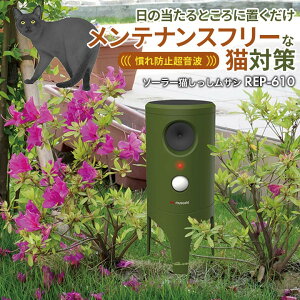 y49%z TV \[[LiREP-610j g L悯 ˂΍ lR΍ ǔL ˂悯 lR悯 L ˂ lR  Lގ O   Ԓd ƒ؉  ԏ \