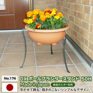 DX{[v^[X^h 30H No.176 GREEN GARDEN O[K[f v^[ A Aؔ K[fjOpi |     K[ft@j`[ ы O