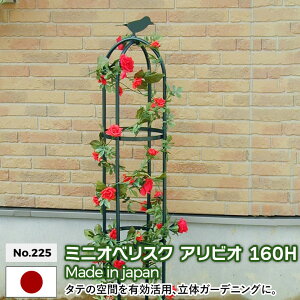 バラ オベリスクの人気商品 通販 価格比較 価格 Com