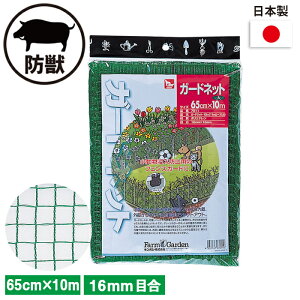 K[hlbgij 65cm×10m K[fjO | _ _ H   L{V