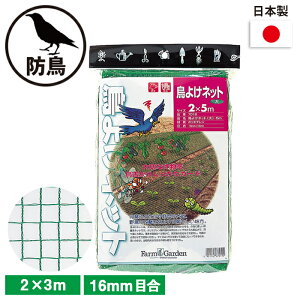 悯lbgij 2×3m K[fjO | _ _ H   L{V