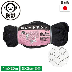 K[hlbg 4m×20mi3cmځj K[fjO | _ _ H   L{V