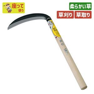 BCi|tjی^180mm K[fjO |pi   芙   _ p H ƒ؉ n n ؍H O